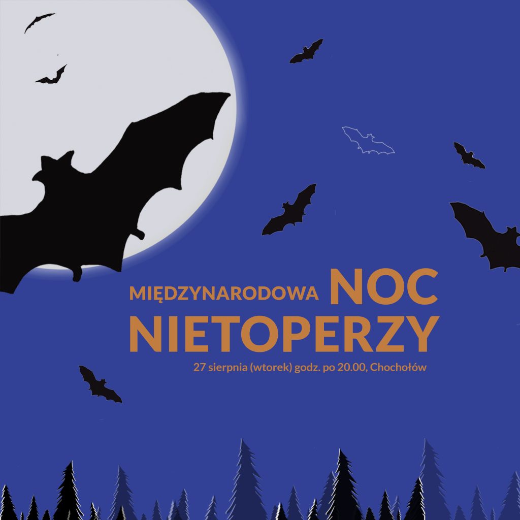 Międzynarodowa Noc Nietoperzy 27 sierpnia (wtorek) godz. po 20.00. Chochołów