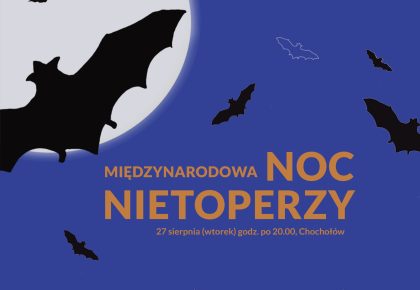 Międzynarodowa noc nietoperzy