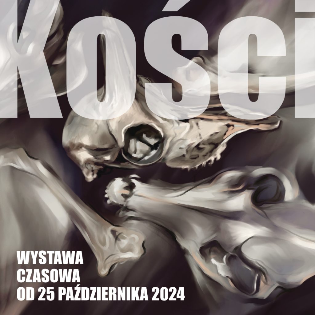 Kości Wystawa czasowa od 25 października 2024 Na plakacie możemy zobaczyć grafiki białych kości oraz zwierzęcych czaszek.