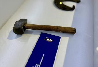 Noc Muzeów z kozicą w tle