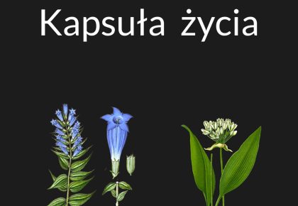Kapsuła Życia