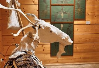 KOLEKCJA MUZEUM TATRZAŃSKIEGO