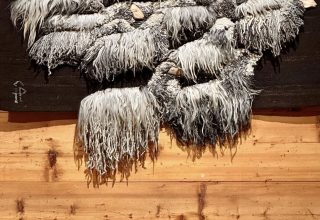 KOLEKCJA MUZEUM TATRZAŃSKIEGO